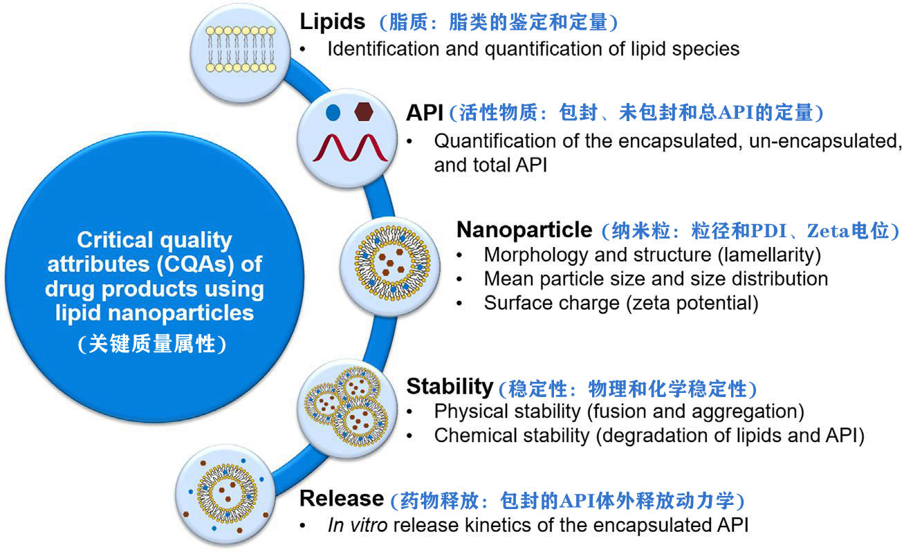 mRNA药物关键质量属性分析.png